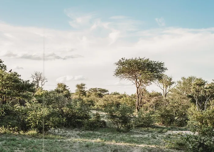 Maroelani Lodge- Greater Kruger Private Reserve